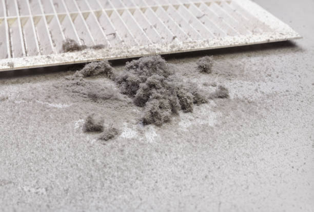 Best Commercial HVAC Duct Cleaning  in Lemont, PA