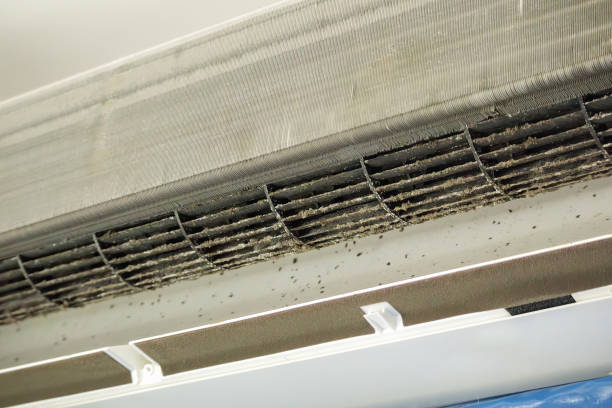 Best Commercial Air Duct Cleaning  in Lemont, PA